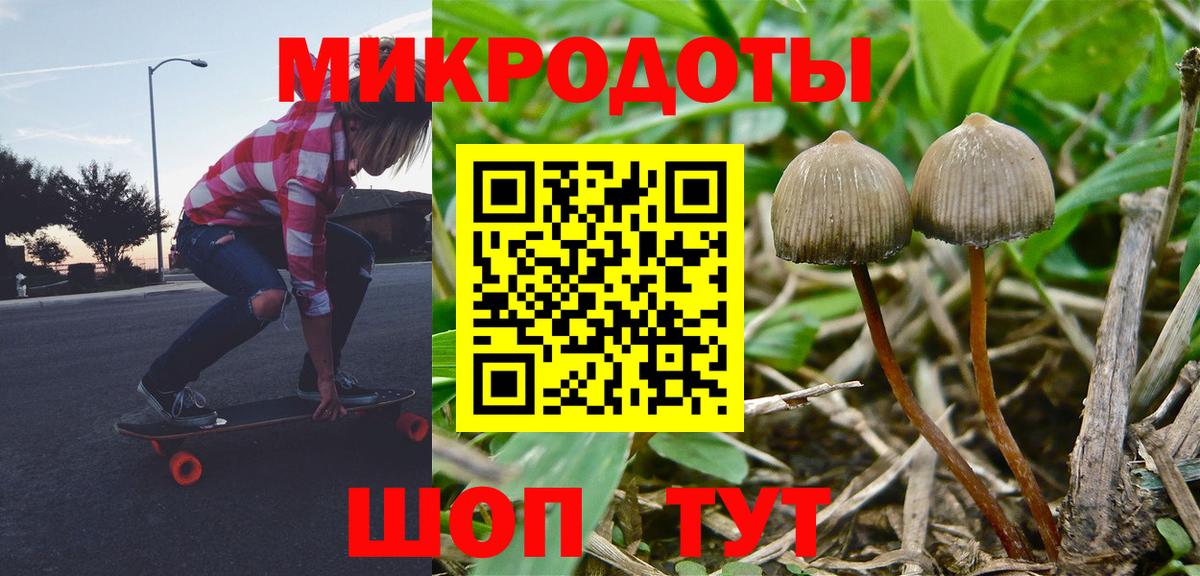 Рузаевка  Галлюциногенные грибы прущие грибы  Вход с VPN 