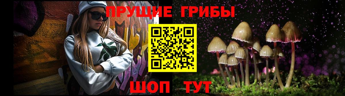 Псилоцибиновые грибы мицелий Рузаевка